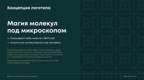 Image result for Sample BMP Lab