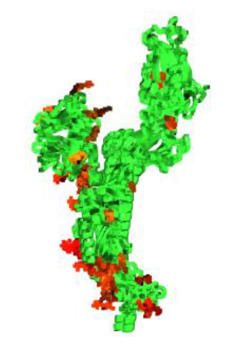 De Novo Drug Design Using Artificial Intelligence Applied on SARS-CoV-2 ...