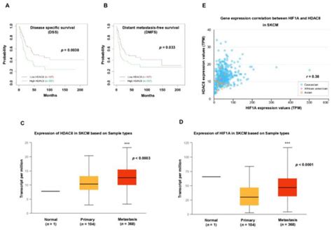 Cancers | Special Issue : Cancers Driven by HIF