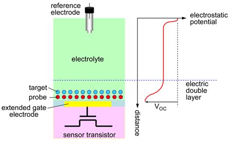 An Integrated ISFET Sensor Array