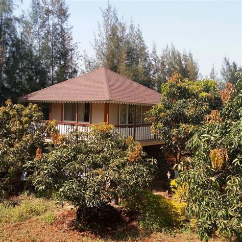 Tree House Cottages In Mulshi | LBB