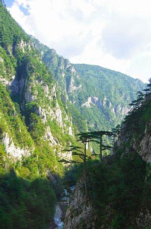 Active Montenegro (Herceg-Novi) - All You Need to Know BEFORE You Go