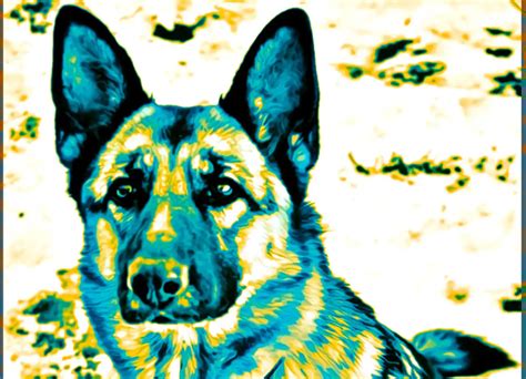 Image result for Color Gradient Photoshop