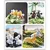 EMiEN 31 Pieces Mini Animals Miniature Ornament Kits Set,Snails,Koala ...