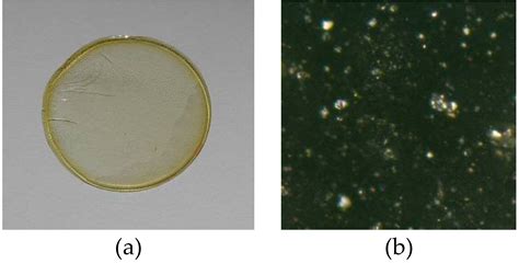 The Application of Polymer Inclusion Membranes Based on CTA with 1 ...