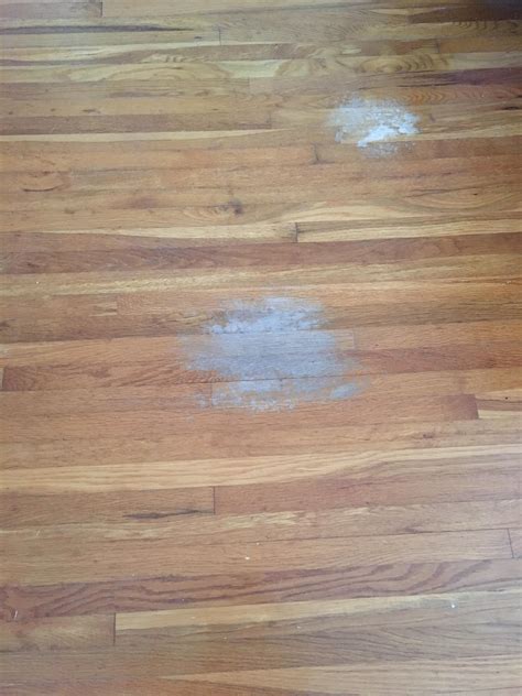 What Are The White Spots On My Wood Floors at Ann Kennedy blog