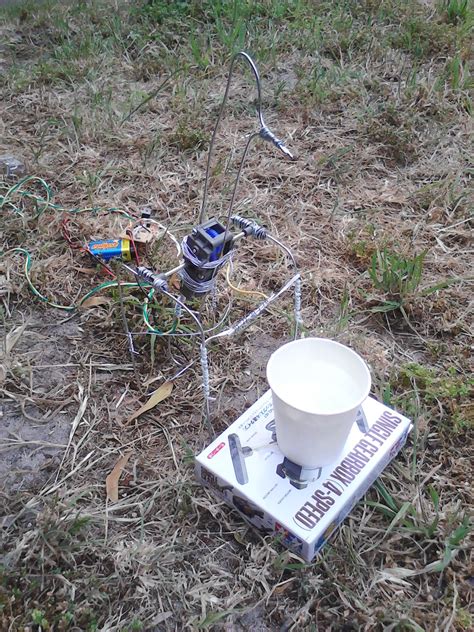 Robotic Bird Build 的图像结果