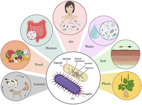 Image result for Pathogenicity of Microorganisms