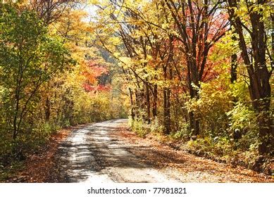 Fall in the Country 的图像结果