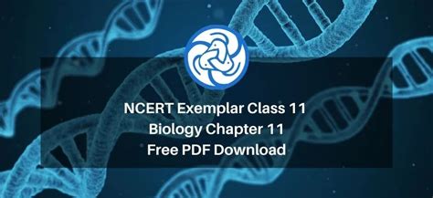 NCERT Exemplar Class 11 Biology Chapter 11 - Transport in Plants