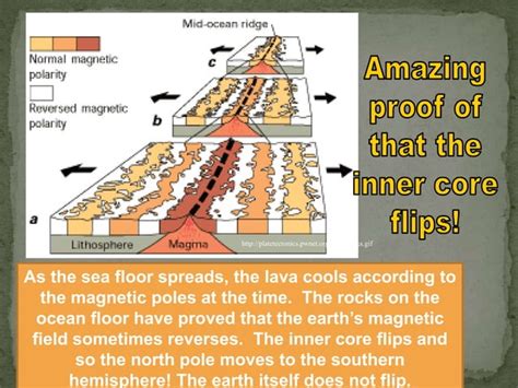 Sea Floor 的图像结果