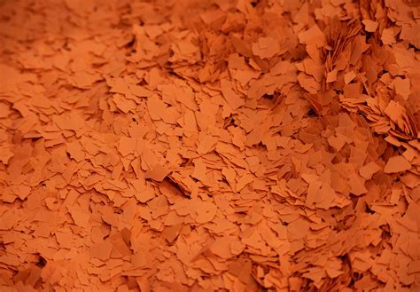 Vibrant Flooring Colors | Gold Coast Floor Finishers