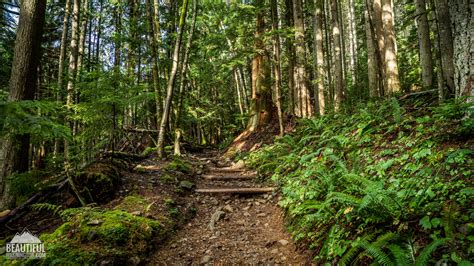 Granite Mountain Trail