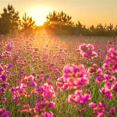 Tyree Funeral Home Inc. Oak Hill/Mount Hope - Home