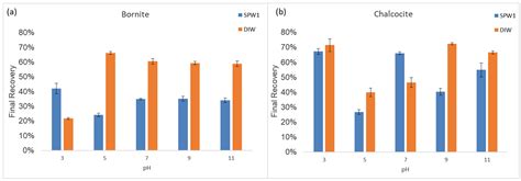 Investigating the Influence of the Electrochemical Environment on the ...