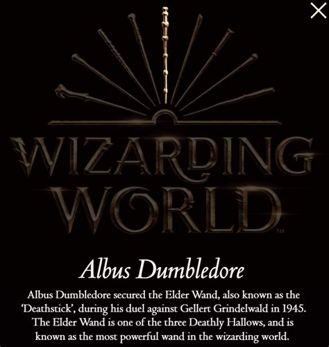 Wizarding World Logo 的图像结果