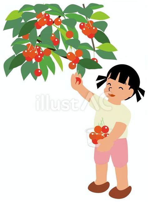 Image result for Acme Course Proposal Example