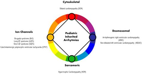 Inherited Arrhythmias in the Pediatric Population: An Updated Overview