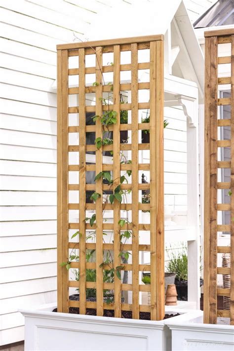 Trellis Ideas House at Tracy Macias blog