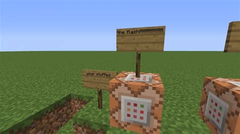 Image result for Fun Command Block Things