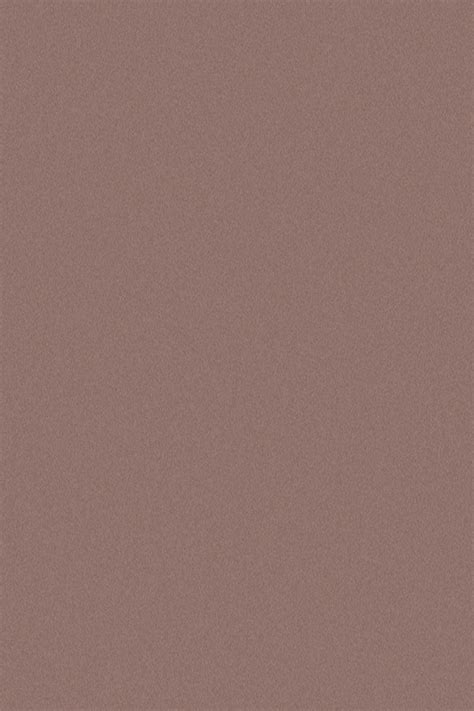 226 OYSTER GREY || Airolam Laminates