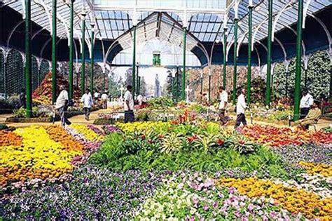 Cataract Surgery,Low Cost, Best Results, Best Prices Laser Vision ...