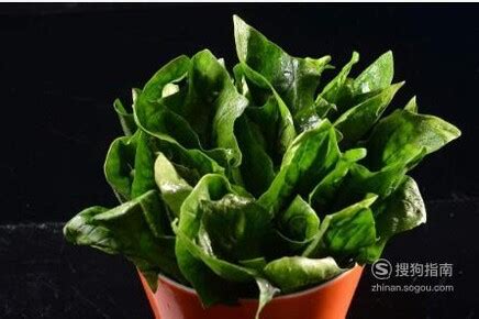 冬季蔬菜：10种重要的蔬菜搭配禁忌_蔬菜_饮食_99健康网