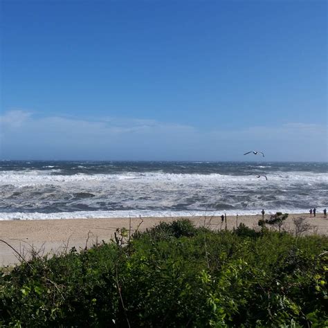 Hither Hills State Park Campground | Montauk, New York