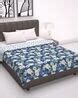 Buy Blue Blankets, Dohars & Quilts for Home & Kitchen by DIVINE CASA ...