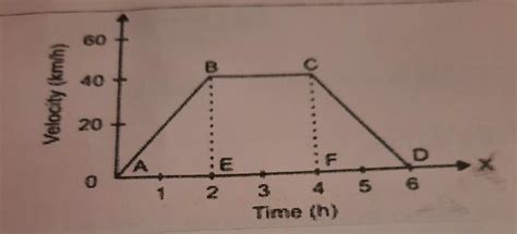 Study the given graph and answer the following questions: - c ...