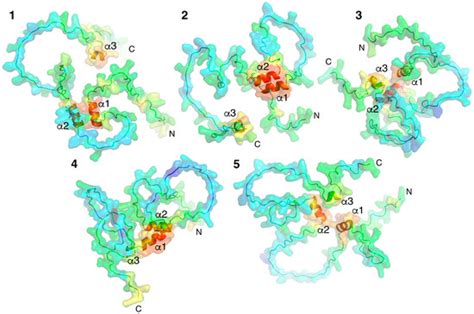 Myelin Basic Protein Attenuates Furin-Mediated Bri2 Cleavage and ...