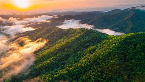 Magod Falls Tour With The Perfect Guide For Travellers For 2026