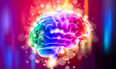 Brain and Behavior 的图像结果