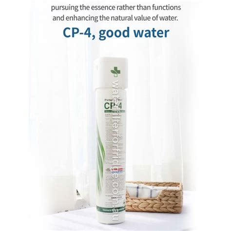 Image result for PFO Filter