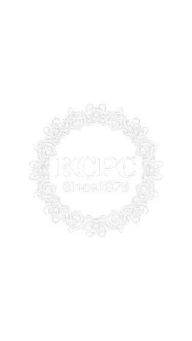 KcPc New Elegant Tari Border Tissue Silk Saree Janhvi Kapoor Inspired ...