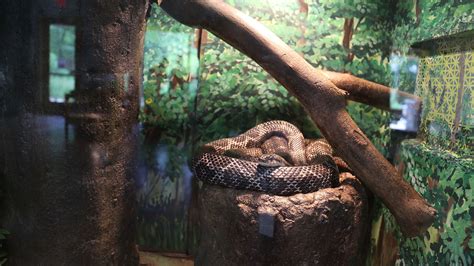 Stony Creek Metropark Nature Center – Huron-Clinton Metroparks