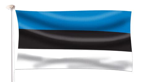 Estonia Flag - Hampshire Flag Company