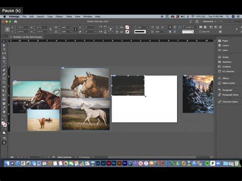 Image result for InDesign Tutorial