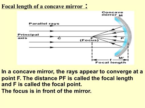 best canon dslr wildlife photography