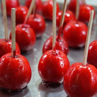 Raspberry Pi RPI3CASE-BG Case (Black and Grey) : Amazon.in: Computers ...