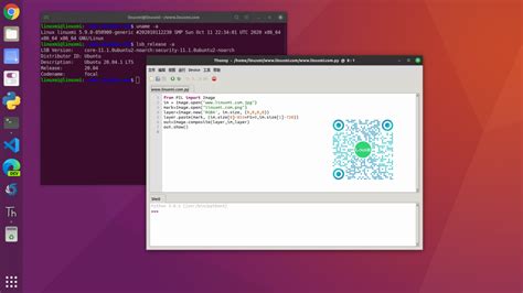 How to Install Thonny Python 的图像结果