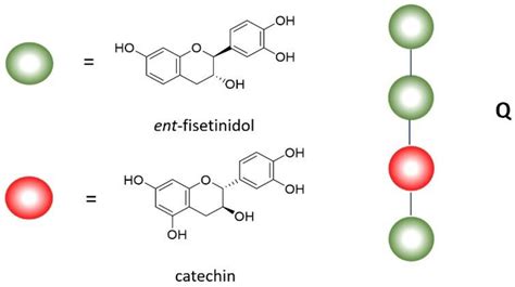 Tannins-Based Extracts: Effects on Gut Chicken Spontaneous Contractility