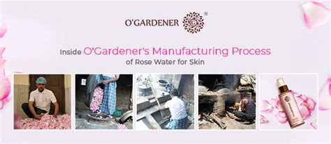 How Rose Water for Skin is prepared? | O'Gardener