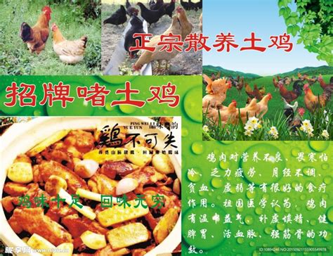 [土鸡批发]灵山土鸡 超150天价格10元/斤 - 惠农网