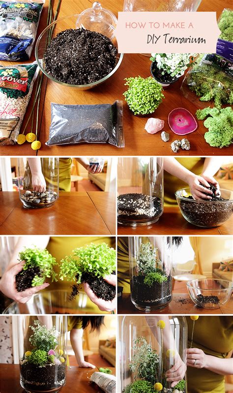 Image result for Terrarium Making111