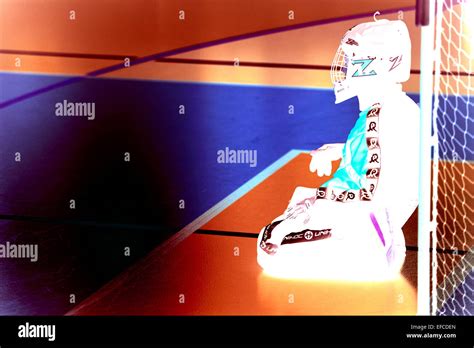 Floor Hockey 的图像结果