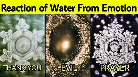 Masaru Emoto, 58% OFF | www.elevate.in