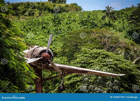 A World War II Airplane in Papua New Guinea Stock Image - Image of ...