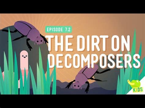 The Role of Decomposers Video Lecture - Science Class 7 (Old NCERT)