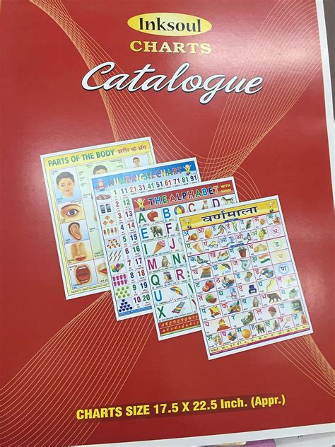 Buy Educational Primary Charts (Pack of 4) Book Online at Low Prices in ...